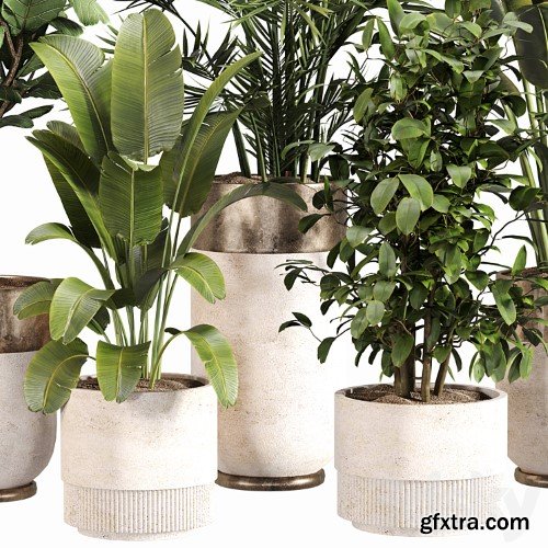 3dsky Pro - Indoor Plant Set 052