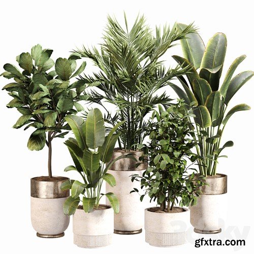 3dsky Pro - Indoor Plant Set 052