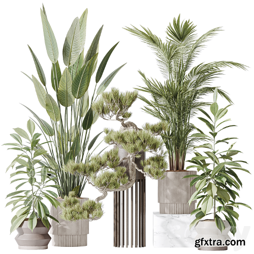 3dsky Pro - Indoor plant set 31