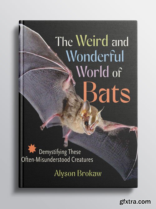 The Weird and Wonderful World of Bats: Demystifying These Often-Misunderstood Creatures