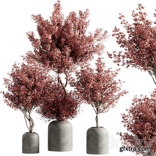 3dsky Pro - indoor plant set 21