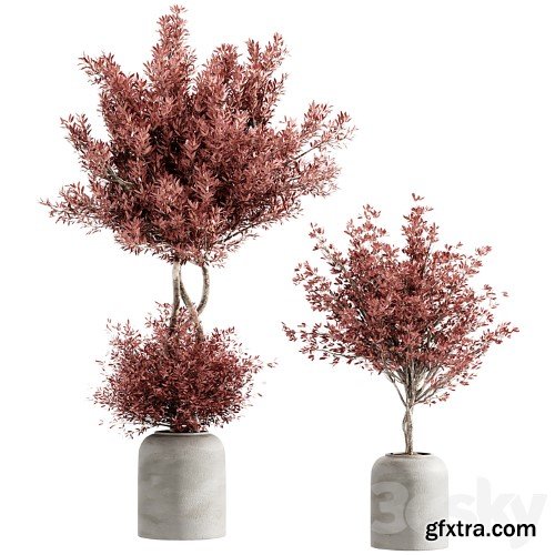 3dsky Pro - indoor plant set 21