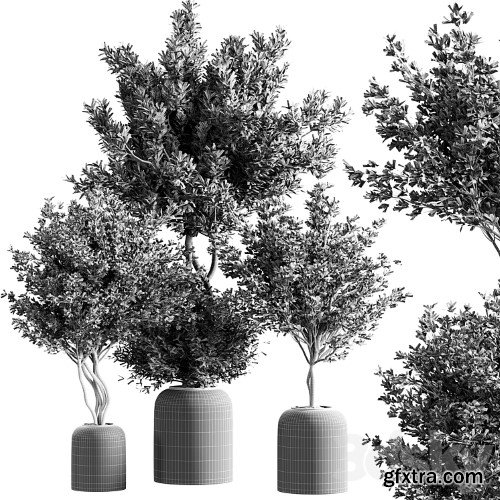 3dsky Pro - indoor plant set 21