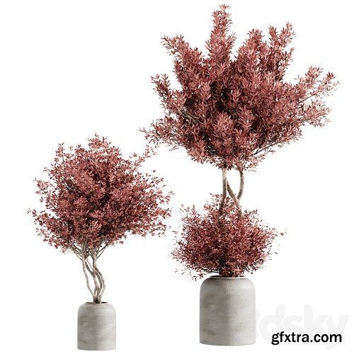 3dsky Pro - indoor plant set 21