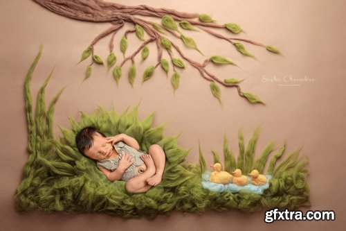 Sasha Chomakov - Newborn Digital Backdrop - Ducks