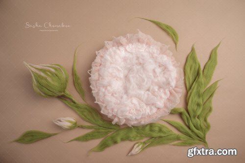 Sasha Chomakov - Newborn Digital Backdrop - Flower