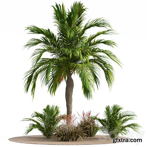 3dsky Pro - Garden set californication