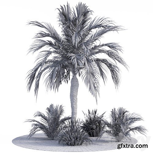 3dsky Pro - Garden set californication