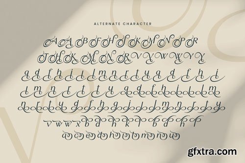 Asilum - Luxury Italic Font