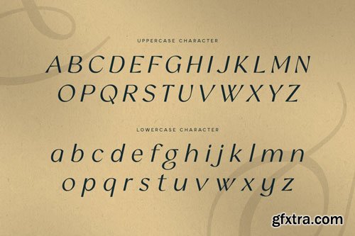 Asilum - Luxury Italic Font