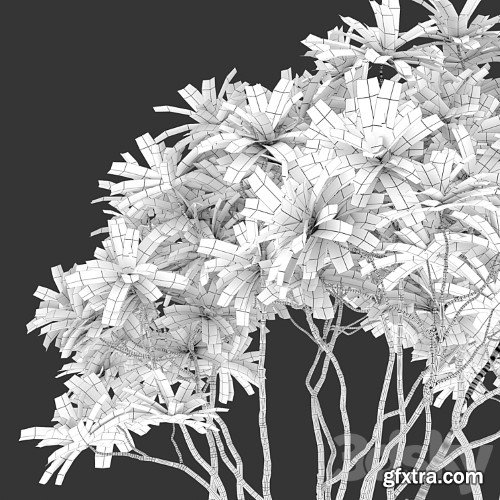 3dsky Pro - Frangipani tree