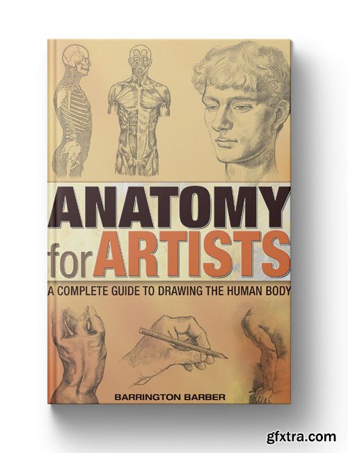 Anatomy for Artists: A Complete Guide to Drawing the Human Body, 2023 Edition