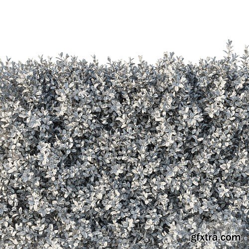 3dsky Pro - Boxwood 04