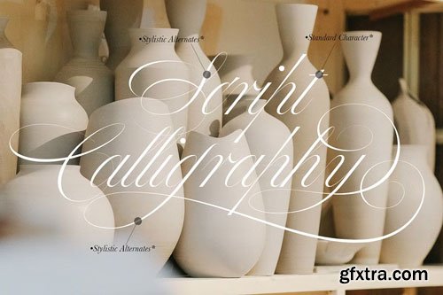 CreativeMarket - Bustra Script Pro Font