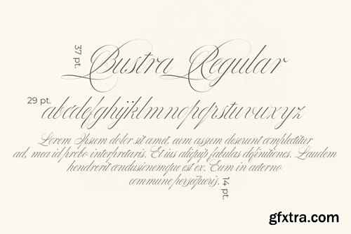 CreativeMarket - Bustra Script Pro Font