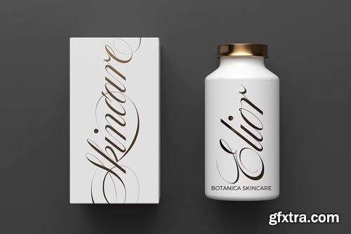 CreativeMarket - Bustra Script Pro Font