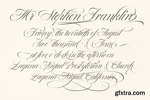 CreativeMarket - Bustra Script Pro Font