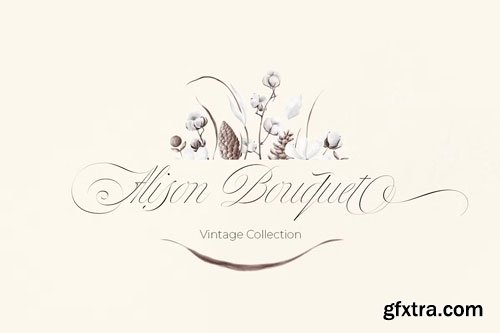 CreativeMarket - Bustra Script Pro Font