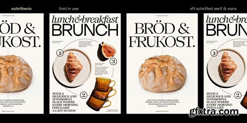 Myfonts - SFT Schrifted Serif Font Family