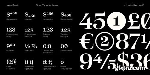 Myfonts - SFT Schrifted Serif Font Family