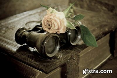 Digital Designs in Gothic Concept 25xJPG