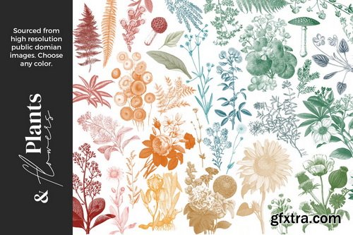 Alainajensen - Mixed Media Collage Brushes for Procreate