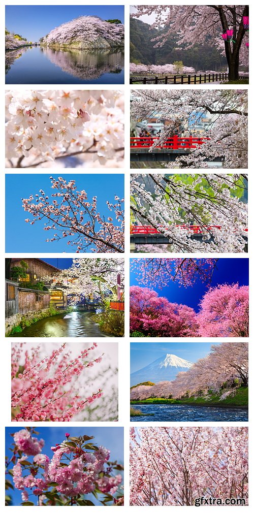 Sakura Gardens 25xJPG