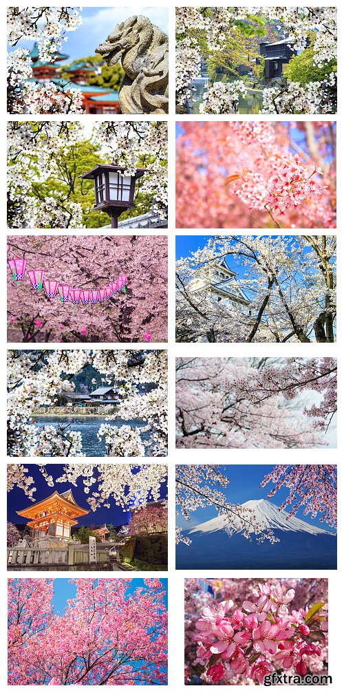 Sakura Gardens 25xJPG