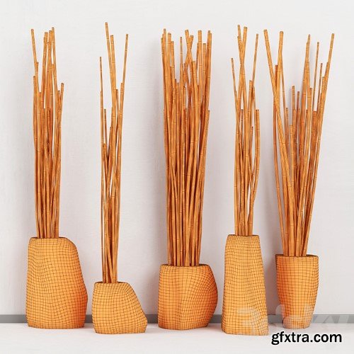 3dsky Pro - Branches in vases