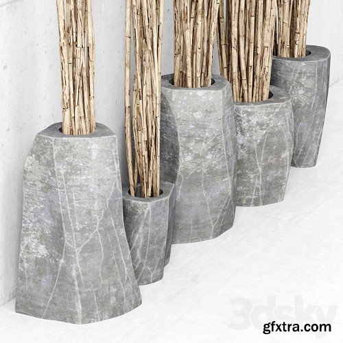 3dsky Pro - Branches in vases