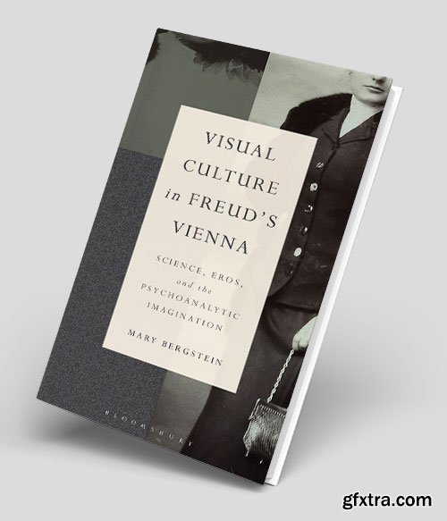 Visual Culture in Freud\'s Vienna: Science, Eros, and the Psychoanalytic Imagination
