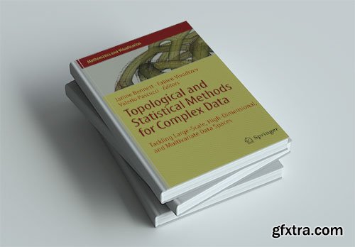 Topological and Statistical Methods for Complex Data