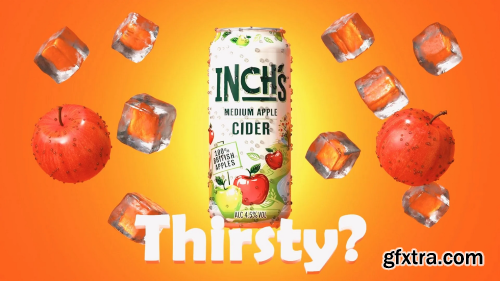 Skillshare - Attract Clients with your portfolio, even if you are a Beginner