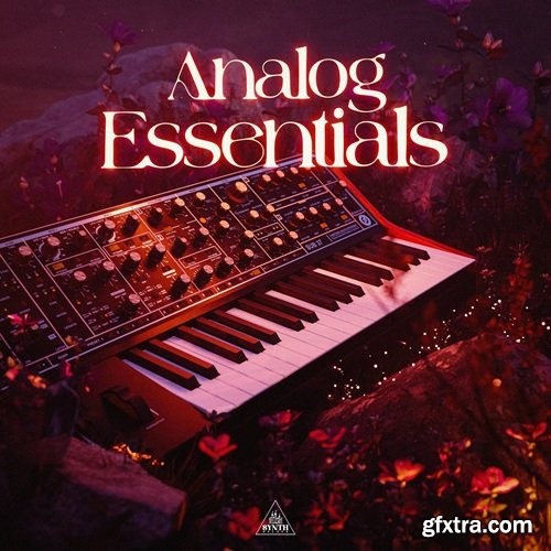 Synth Palace Analog Essentials Synth Palace Analog Essentials