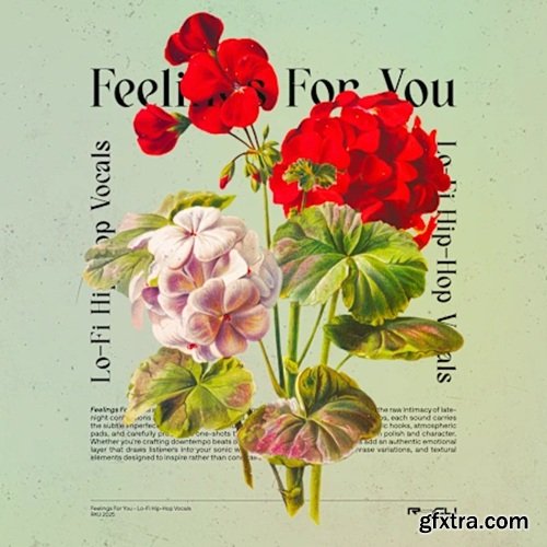 Renraku Feelings For You - Lofi Vocals Renraku Feelings For You - Lofi Vocals