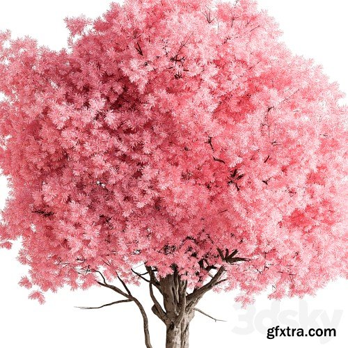 3dsky Pro - Indoor Plant 657 - Pink Tree