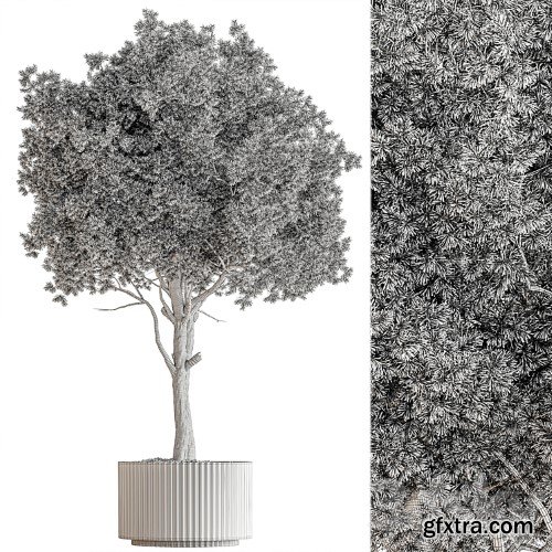 3dsky Pro - Indoor Plant 657 - Pink Tree