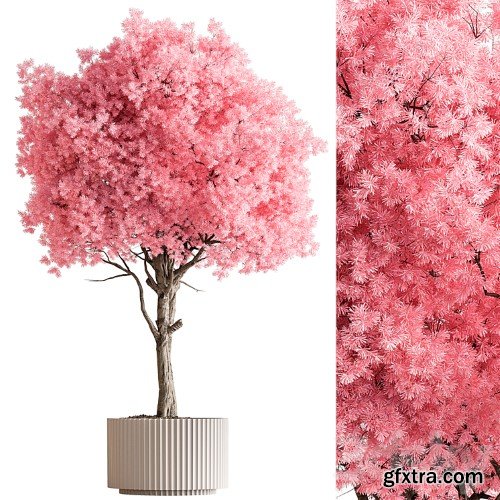 3dsky Pro - Indoor Plant 657 - Pink Tree