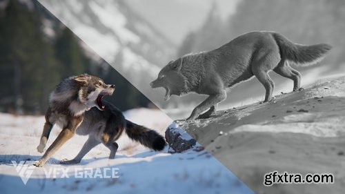 BlenderMarket - Wolf Animation | Vfx Grace