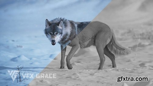 BlenderMarket - Wolf Animation | Vfx Grace