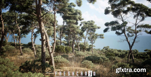 Fab - Mediterranean Island Pack (Island Environment - Pine Forest Island &ndash; Forest)