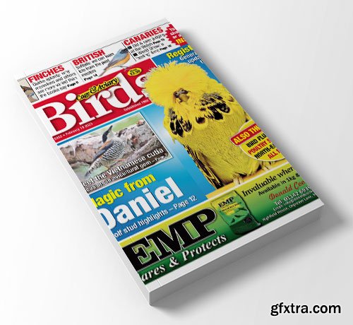 Cage & Aviary Birds - February 19, 2025