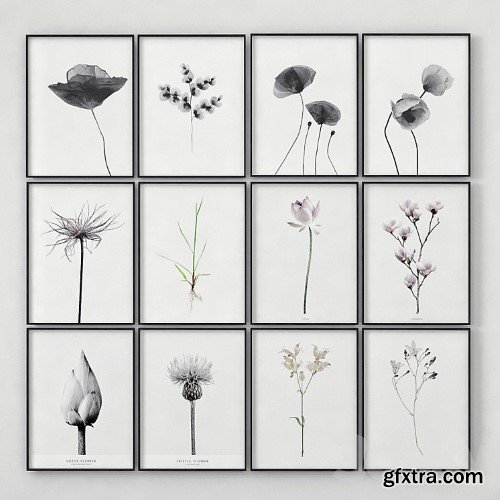 3dsky Pro - Posters with images of plants