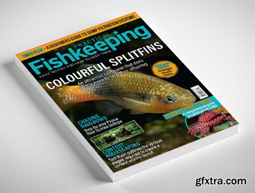 Practical Fishkeeping - March 2025