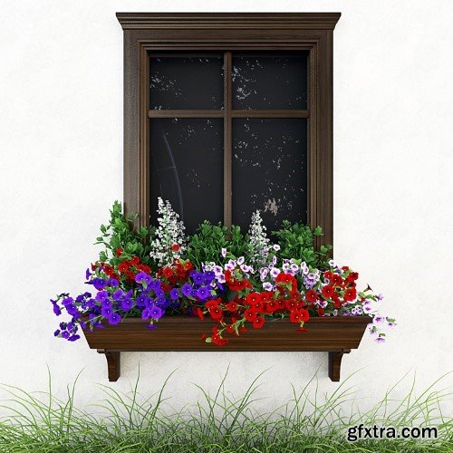 3dsky Pro - Petunia on the window