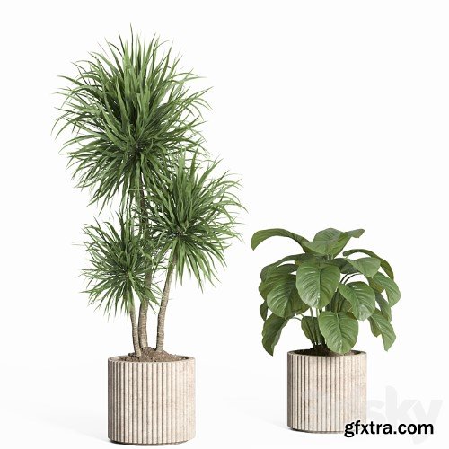 3dsky Pro - indoor plant set 59-Concrete pot