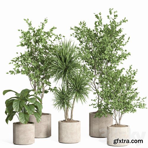 3dsky Pro - indoor plant set 59-Concrete pot