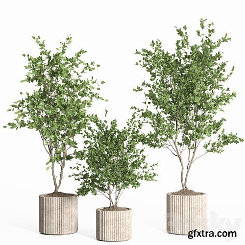 3dsky Pro - indoor plant set 59-Concrete pot