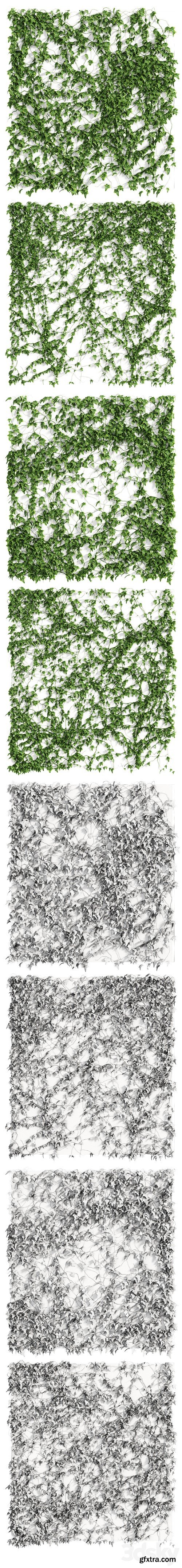 3dsky Pro - Ivy Wall 4 models