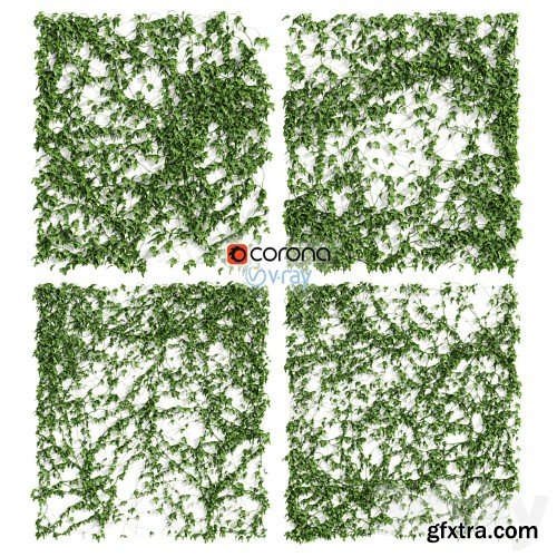 3dsky Pro - Ivy Wall 4 models